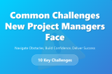 Common Challenges New Project Managers Face