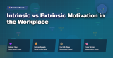 Intrinsic vs Extrinsic Motivation in the Workplace
