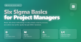 Six Sigma Basics for Project Managers